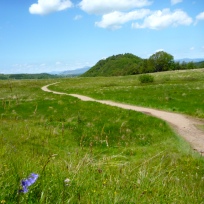 West Highland Way near Arlehaven Spring summer 2011 2 cropped