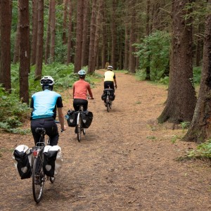 S6 Kinneil wood cyclists