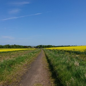 S9 path fields